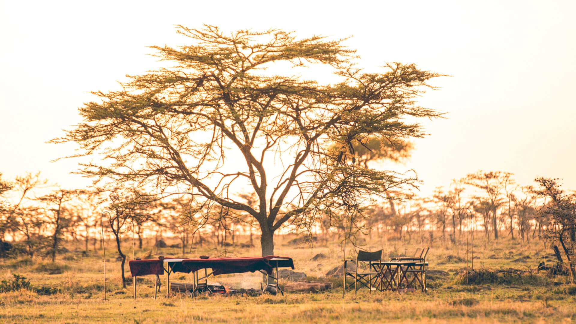 Naboisho Conservancy - Community-driven conservation and authentic experiences