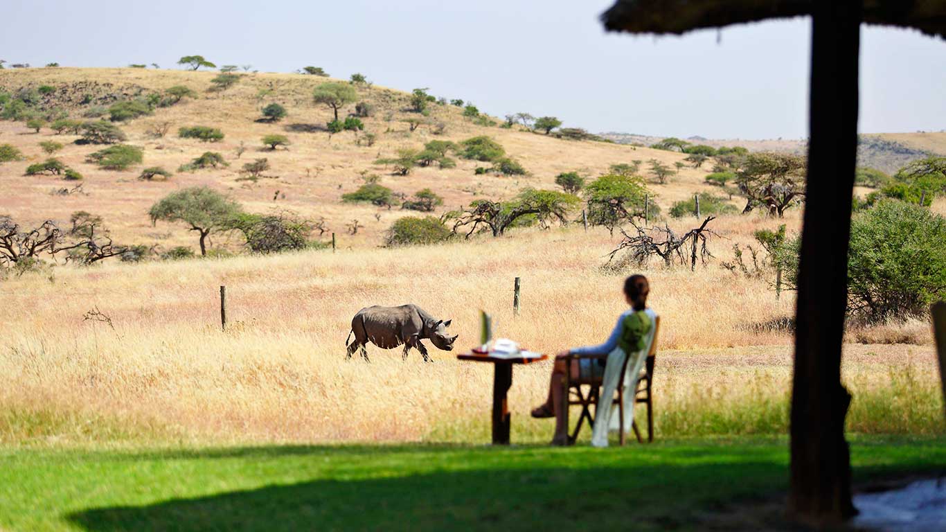 Lewa Wildlife Conservancy - UNESCO World Heritage Site and rhino sanctuary